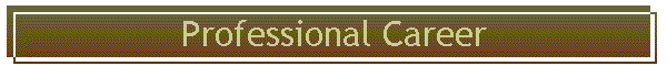 Professional Career