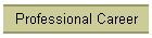 Professional Career