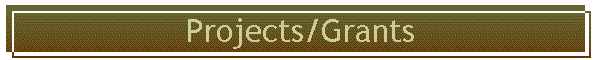 Projects/Grants